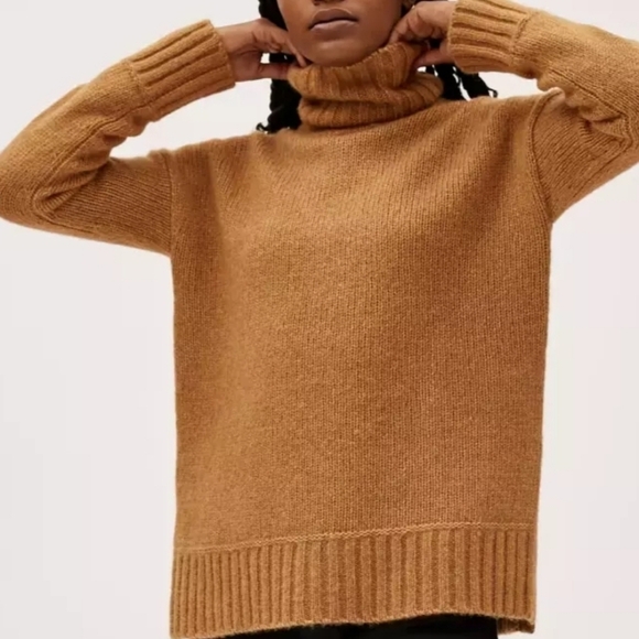 Everlane Cloud Pullover Turtleneck Sweater - Picture 1 of 5